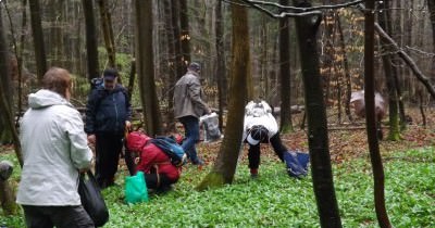 Marche - Ramassage Ail des Ours - 05 avril 2016