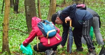 Marche - Ramassage Ail des Ours - 05 avril 2016