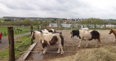 Journée Asperges du 17 avril 2016