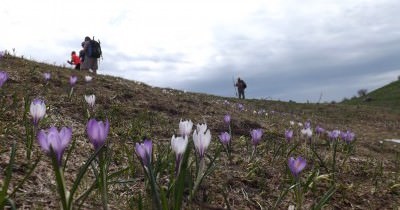 Voyage en Haute-Savoie du 08 au 14 mai 2016