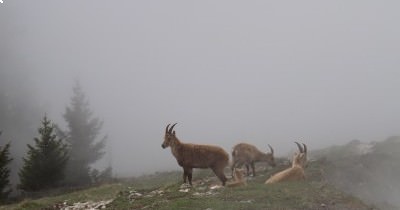 Voyage en Haute-Savoie du 08 au 14 mai 2016