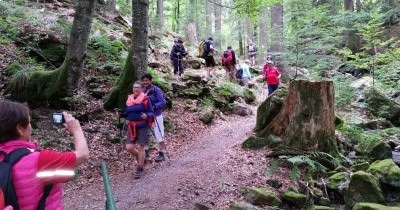 Week-end en Forêt-Noire - 3 et 4 septembre 2016