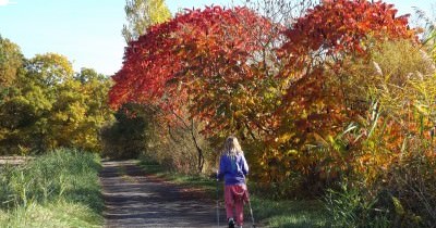 Marche "Pour Quentin" - 30 octobre 2016