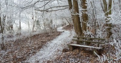 15e Marche du Réveillon - 31 décembre 2016