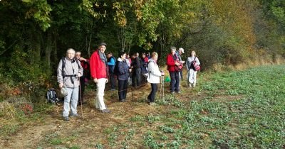 Marche hebdomadaire du mardi