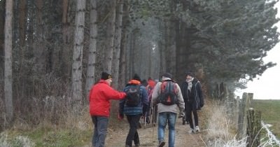 Marche hebdomadaire du mardi