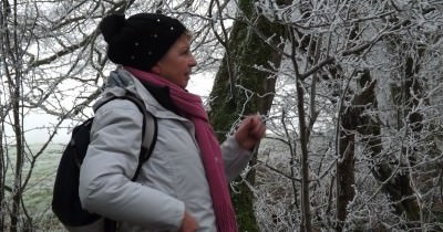 Marche hebdomadaire du mardi