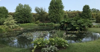 Rando Bretagne - Sentier des Douaniers - 18 au 24 juin 2017