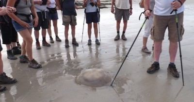 Rando Bretagne - Sentier des Douaniers - 18 au 24 juin 2017