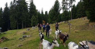 Week-end à la Bresse - 30 septembre - 1er octobre 2017