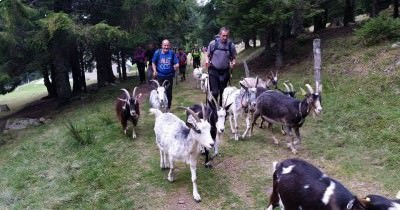 Week-end à la Bresse - 30 septembre - 1er octobre 2017