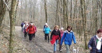 Marche hebdomadaire du Mardi