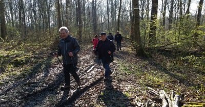 Marche hebdomadaire du Mardi