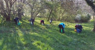 Marche hebdomadaire du Mardi