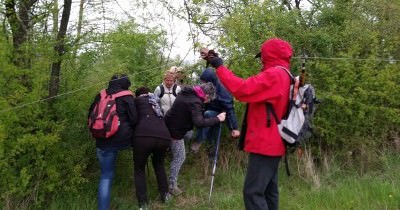 Marche hebdomadaire du Mardi