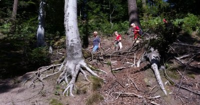 Marche hebdomadaire du Mardi