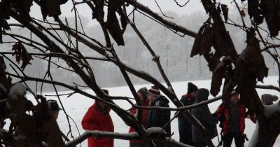 Marche hebdomadaire du Mardi