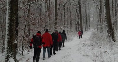 Marche hebdomadaire du Mardi