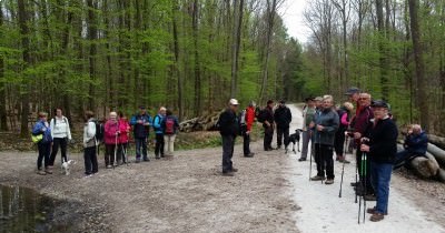 Marche hebdomadaire du Mardi