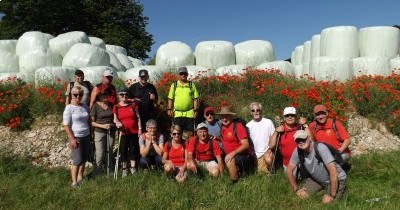 Marche hebdomadaire du Mardi