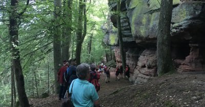 Rando à l'Altschlossfelsen - 14 août 2018