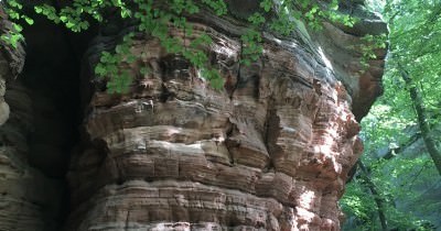 Rando à l'Altschlossfelsen - 14 août 2018