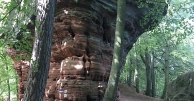 Rando à l'Altschlossfelsen - 14 août 2018