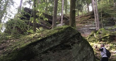 Rando à l'Altschlossfelsen - 14 août 2018