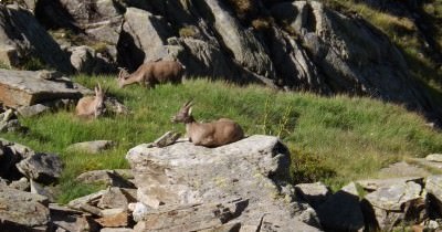 Trekking Annecy - Chamonix - 2 au 9 septembre 2018