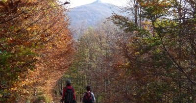 Les Vosges en Automne - 15 au 20 octobre 2018