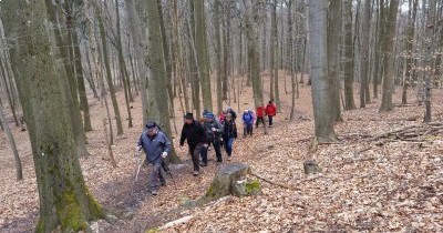 Marche hebdomadaire du mardi