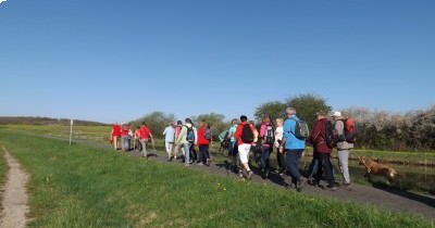 Marche hebdomadaire du mardi