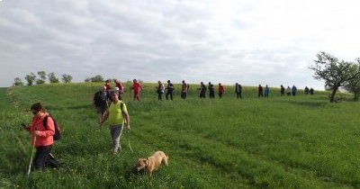 Marche hebdomadaire du mardi