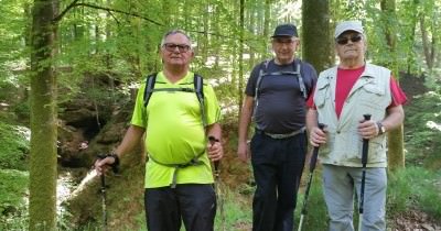 Marche hebdomadaire du mardi