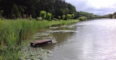 Marche hebdomadaire du mardi