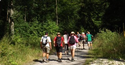 Marche hebdomadaire du mardi