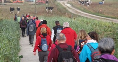 Marche hebdomadaire du mardi