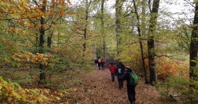 Marche hebdomadaire du mardi