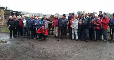 Marche hebdomadaire du mardi