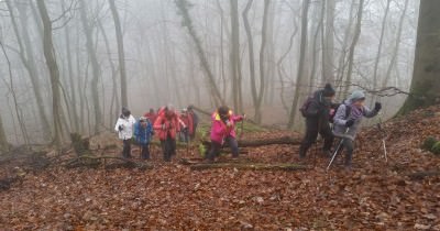 Marche hebdomadaire du mardi