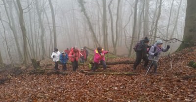 Marche hebdomadaire du mardi