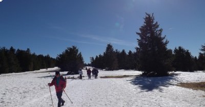 Sortie Raquettes dans les Vosges - 24 février 2019