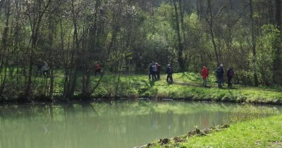 Sortie "Ail des Ours" - 16 avril 2019