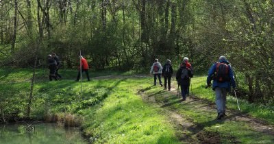 Sortie "Ail des Ours" - 16 avril 2019