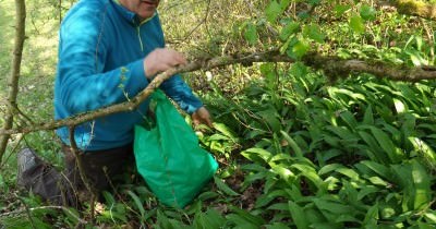 Sortie "Ail des Ours" - 16 avril 2019