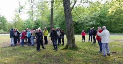 Journée "Asperges" - 05 mai 2019