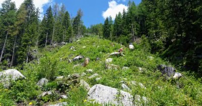 Les Dolomites - 16 au 23 juin 2019