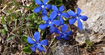 Les Dolomites - 16 au 23 juin 2019