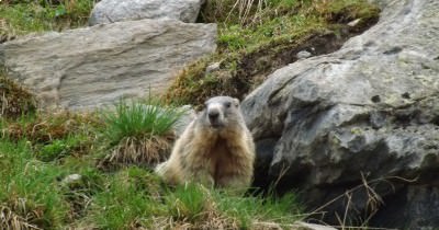 Les Dolomites - 16 au 23 juin 2019