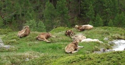 Les Dolomites - 16 au 23 juin 2019